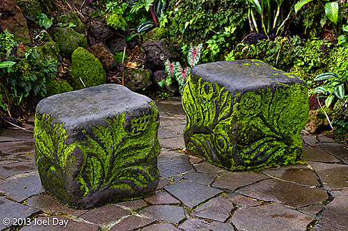 Singapore Botanic Gardens
