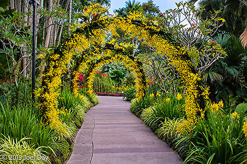 Singapore Botanic Gardens