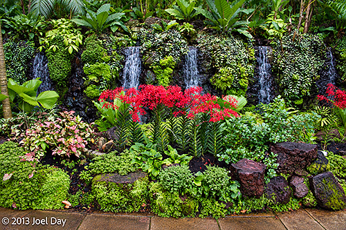 Singapore Botanic Gardens