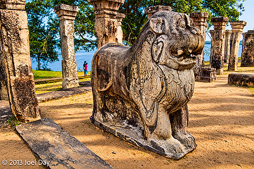 Stone Lion at the Royal Palace Ruins, Polonnaruwa, Sri Lanka