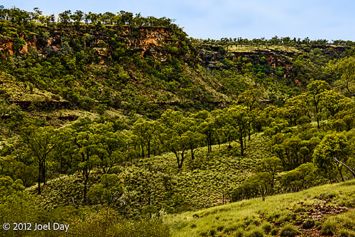 Porcupine Gorge National Park, Queensland