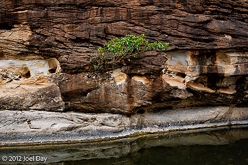 Porcupine Gorge National Park, Queensland