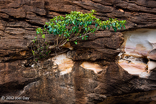 Porcupine Gorge National Park, Queensland