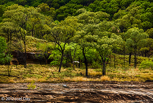 Porcupine Gorge National Park, Queensland